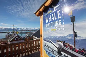 Signage: Whale watching signage promoting wildlife tourism