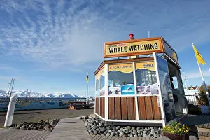 Sign: Whale watching signage promoting wildlife tourism