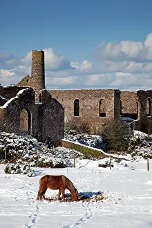 Francis: Wheal Francis - ruined former mine works - with