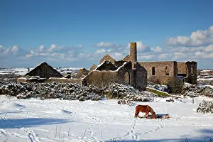 Francis: Wheal Francis - ruined former mine works - with