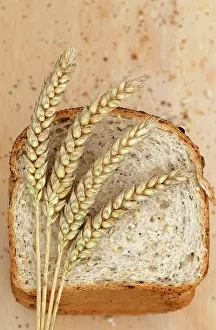 Bread: Wheat