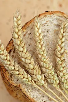 Bread: Wheat