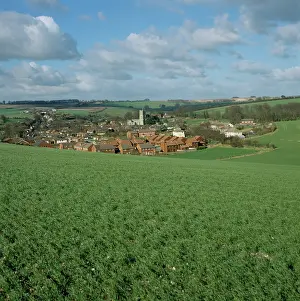 Wiltshire: Wheat crop and village, Wiltshire, UK