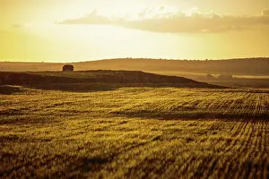 Sergio Arias: Wheat Field raining at sunset