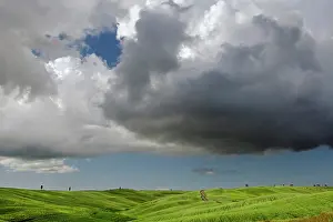 Vast: Wheat field in Tuscany region of Italy