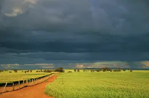 Wheatfields: Wheatfields and Approaching Storm