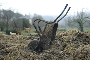 Tools: Wheelbarrow used to pull the cow manure Aveyron France