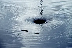 Flooding: Whirlpool