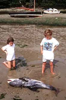 Death: White-beaked DOLPHIN - children standing by dead