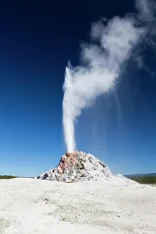 Geysers: White Dome Geyser - erupting Firehole Lake Drive