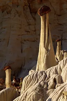 Creating: White Ghosts - the Wahweap Hoodoos are white pedestral