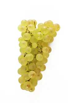 Bunches: White Grapes - Chasselat