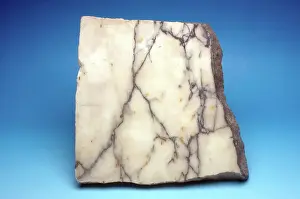 Veins: White Marble