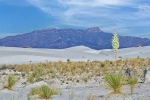 Southwest: White Sands National Park