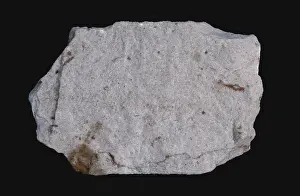 Grained: White Sandstone
