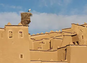 Roofs: White Stork - at its nest on the kasbah (= fortress)