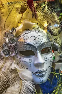 Mask: White Venetian mask feathers, Venice, Italy. Used