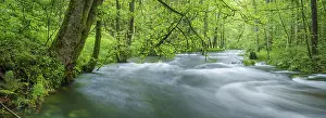 Brook: White water and rapids on the Trieb stream in the Triebtal nature reserve in Vogtland
