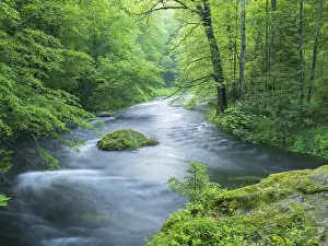 Brook: White water and rapids on the Trieb stream in the Triebtal nature reserve in Vogtland