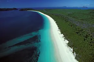 Whitehaven: Whitehaven Beach