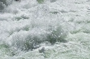 Rapids: Whitewater