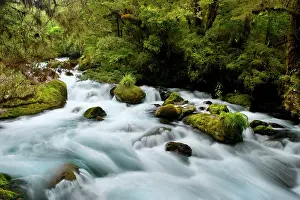 Amidst: Whitewater river - wild torrent running over moss-covered