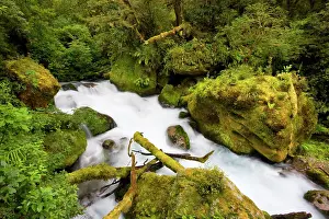 Amidst: Whitewater river - wild torrent running over moss-covered