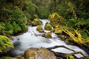 Amidst: Whitewater river - wild torrent running over moss-covered