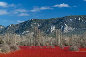 Castilla: Wicker, Ruta del Mimbre, Cuenca, Castilla - La Mancha