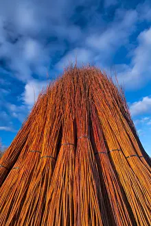 Castilla: Wicker, Ruta del Mimbre, Cuenca, Castilla - La Mancha