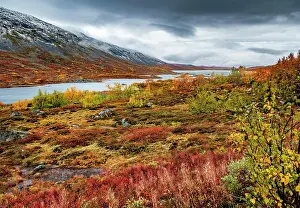 Fell: Wide landscape, Fjcll with colourful vegetation