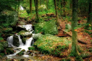 Virginia: Wigwam Falls, Virginia, Blue Ridge Parkway