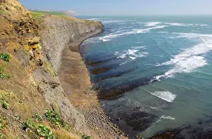 Kimmeridge: The wild Dorset coast, looking east from Kimmeridge