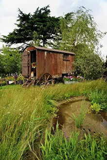 Lifestyle: Wild Garden