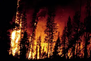 Wildfire: Wildfire in the Boise National Forest
