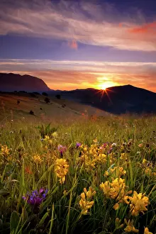 Umbria: Wildflowers at sunrise in the Monti Sibillini