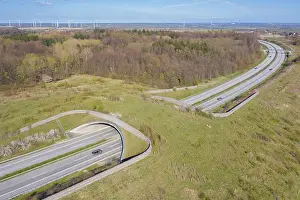 Spanning: Wildlife crossing + animal bridge spanning a highway