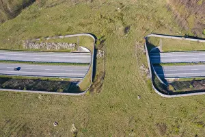 Spanning: Wildlife crossing + animal bridge spanning a highway