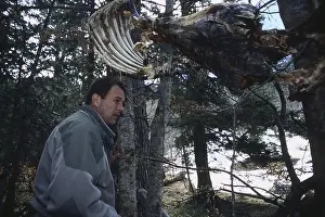 Controls: Wildlife guard inpecting a meat bait set up for Bears France