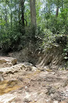 Mondulkiri: Wildlife Saltlick