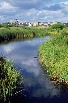 Lonsdale: Wildlife & Wetlands Trust (WWT) - London Wetland
