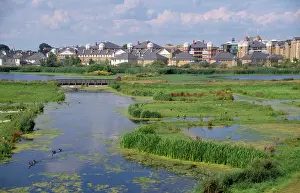 Lonsdale: Wildlife & Wetlands Trust (WWT) - London Wetland