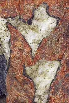 Zinc: Willemite (red) and Calcite (white
