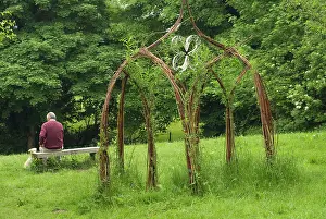 Recycling: Willow