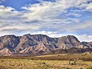 Jean-marc La Roque: Wilpena pound ranges, flinders ranges nat. park