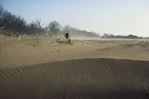 Topsoil: Wind Erosion
