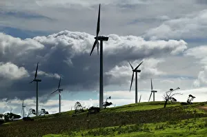 Portland: Wind farm near Portland, South Australia
