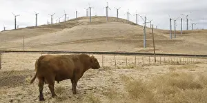 Windcharger: Wind farm in the region of Altamont pass in California USA