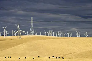 Windcharger: Wind farm in the region of Altamont pass in California USA
