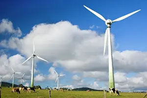 Tablelands: Wind power plant - wind turbines of Windy Hill